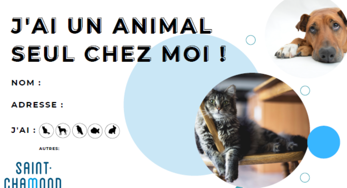 La carte je protège mon animal - Ville de Saint-Chamond : Ville
