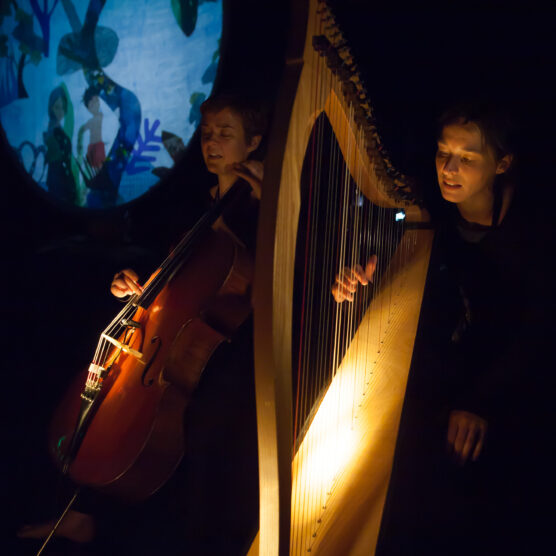 Iles - Théâtre d’ombres marionnettes