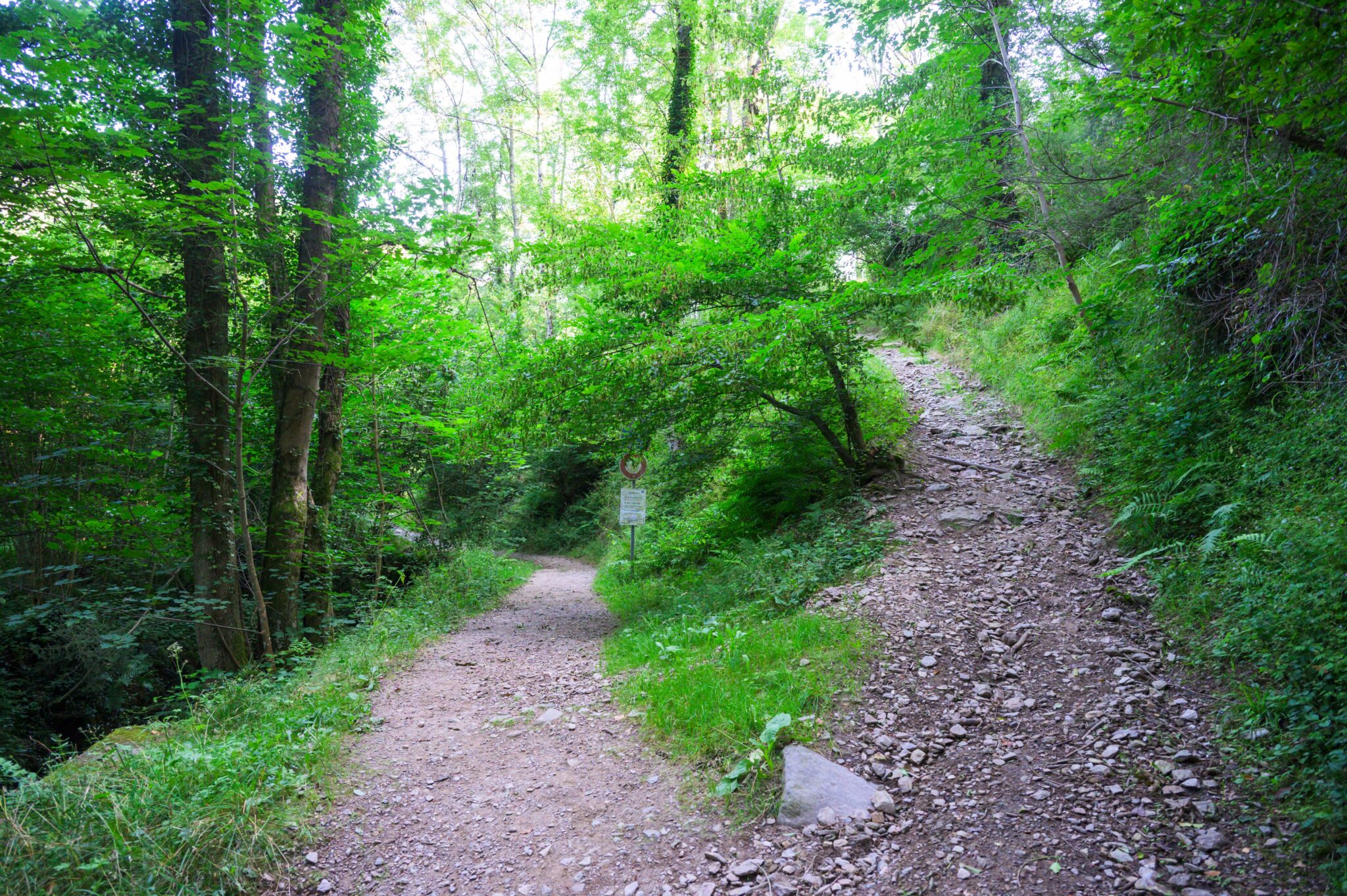 Sentier de SaintChamond Le barrage de la Rive n°11 Ville de Saint