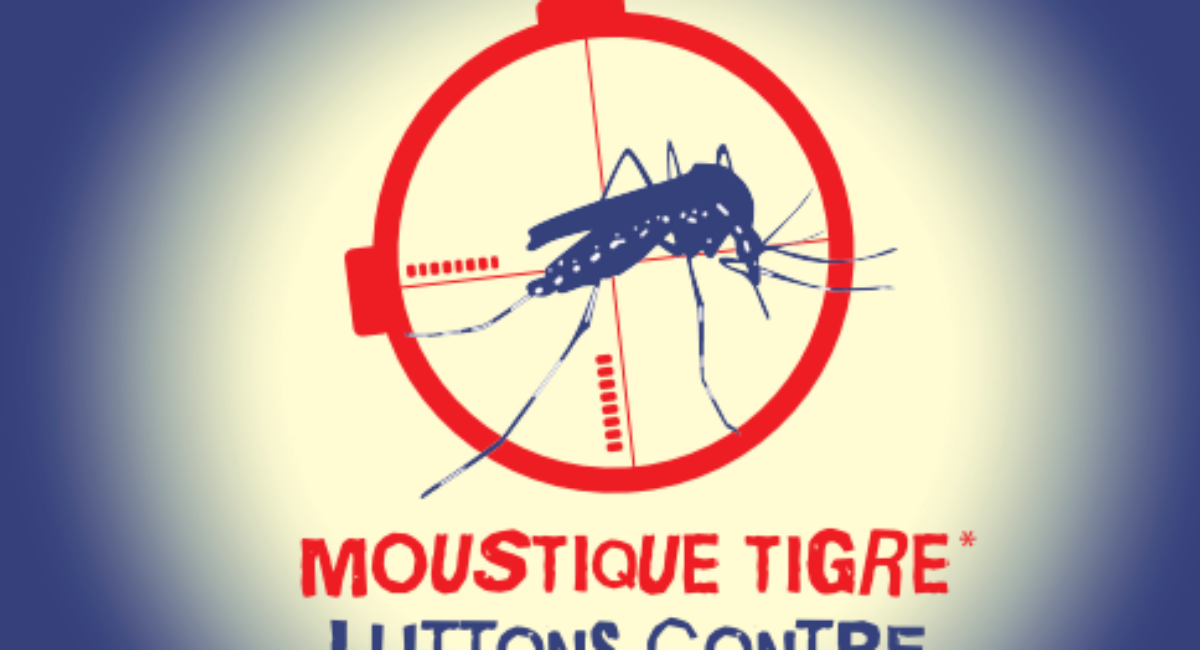 Comment supprimer le moustique tigre ?