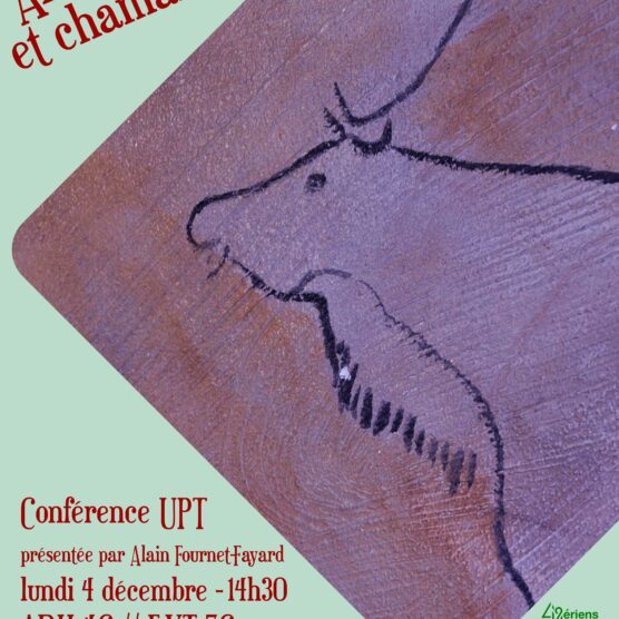 Art pariétal et chamanisme