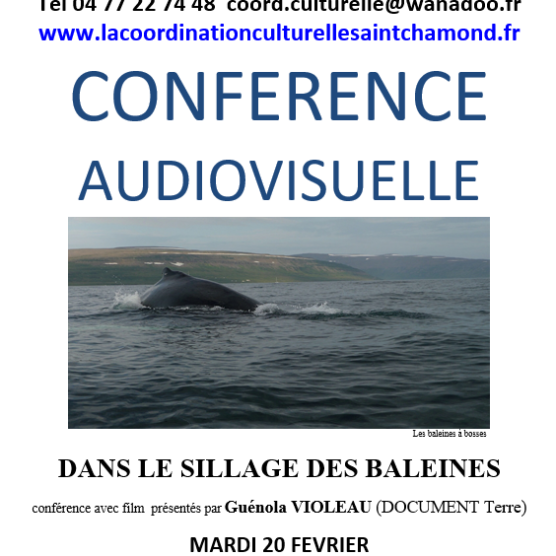 Conf audio : dans le sillage des baleines