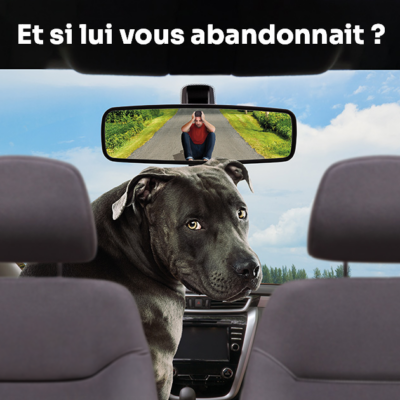 Image d'un chien abandonnant son maître en voiture avec le slogan "Et si lui vous abandonnait" ?