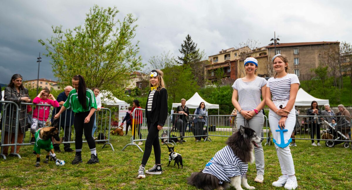 Photo de la fête du chien 2023