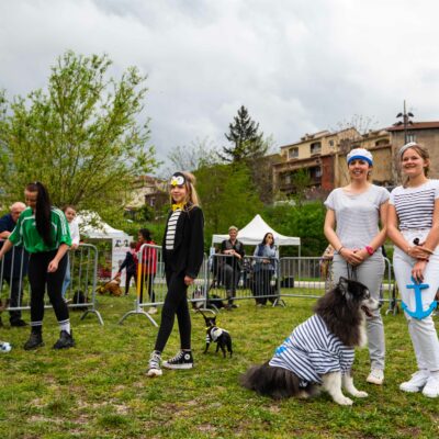 Photo de la fête du chien 2023