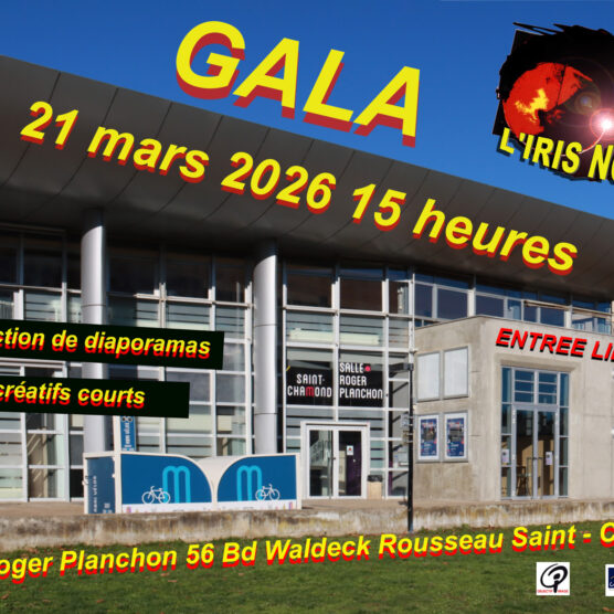 Gala de l'IRIS NOIR