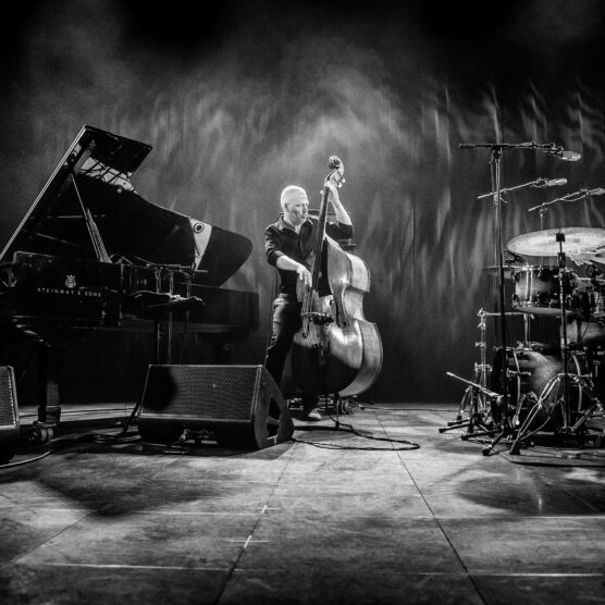 Jazz - New Trio' "Brightlight" avec Avishaï Cohen