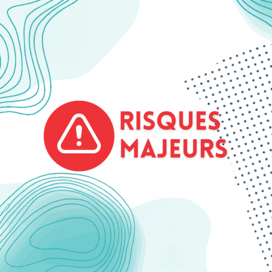 Visuel DICRIM Risques Majeurs